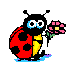 animated lady bug
