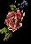 rose bullet