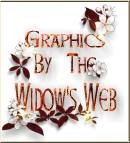 Spring Icon Logo