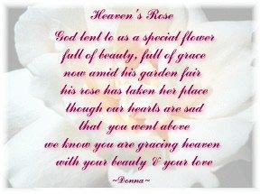 Pink Bear's Poem