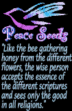peaceseed link